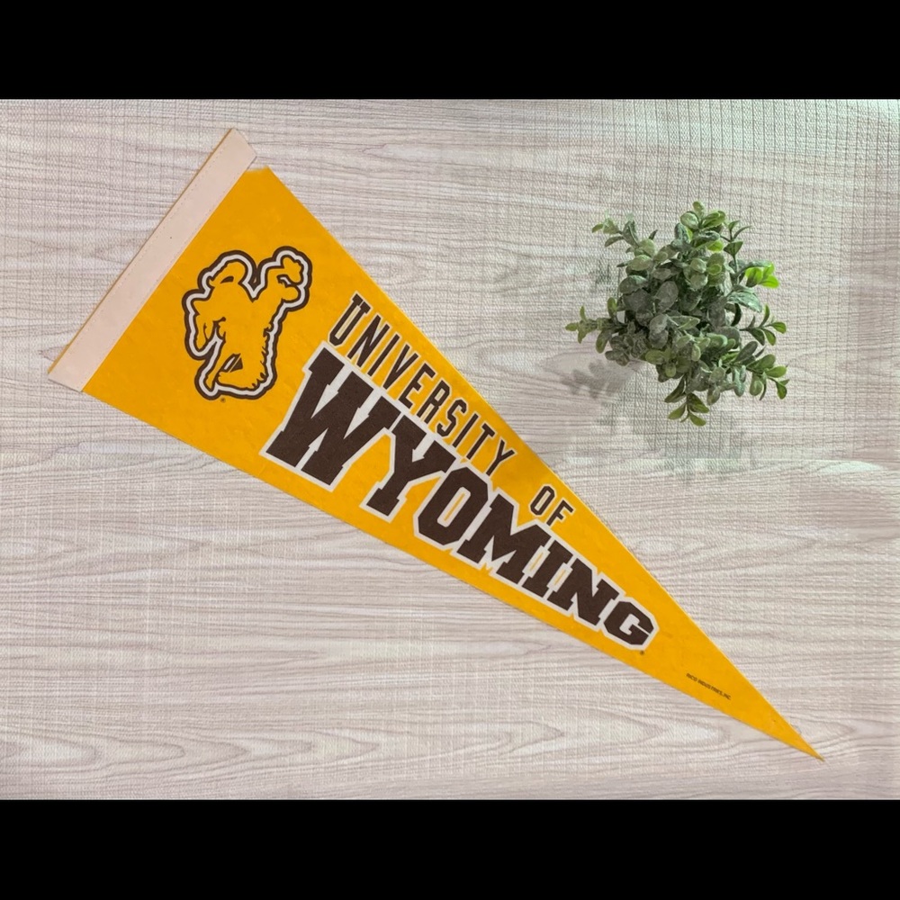 University of Wyoming UWYO Pennant Flag